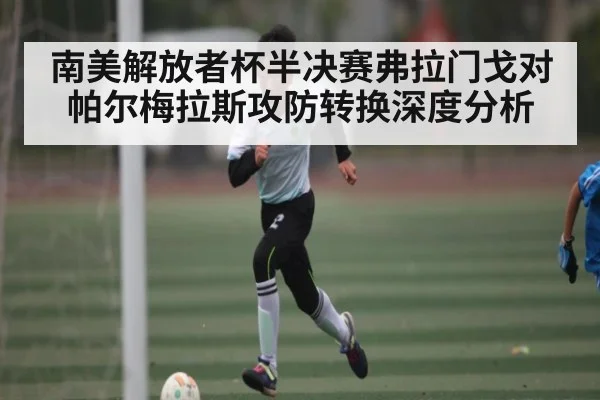 南美解放者杯半决赛弗拉门戈对帕尔梅拉斯攻防转换深度分析